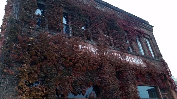 Facade of Swartz Printing Co. building with vines